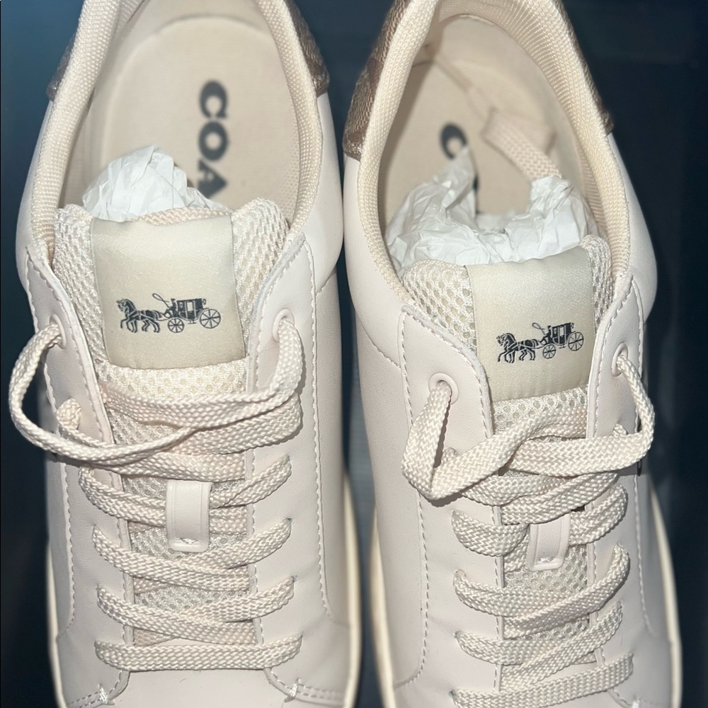 Coach low tops